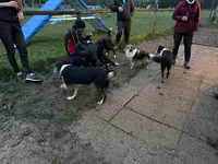 Club Canin Corps-nuds