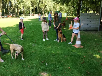 Amicale Canine Coudekerque-branche