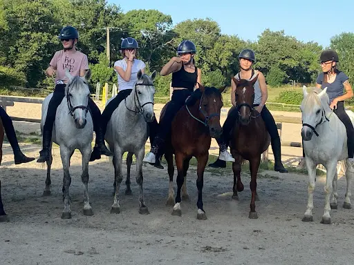 La Pirouette Equitation