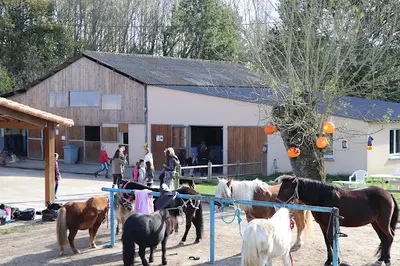 Les Écuries Canterie, Centre Équestre : Poney Club, Pensions, Valorisation /commerce