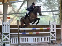 Domaine Equestre des Brosses