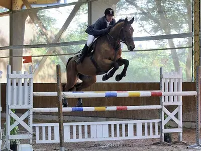 Domaine Equestre des Brosses