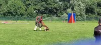 Sports et Loisirs Canins