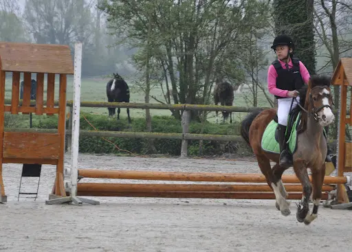 Ecurie / Poney Club des 2 Saules