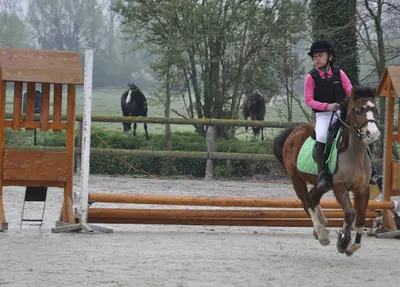 Ecurie / Poney Club des 2 Saules