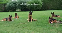 Elevage du Verger des Louves