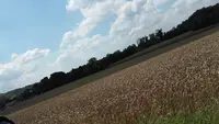 La Niche Beauté