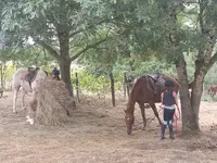 Poney Club des 3 Collines