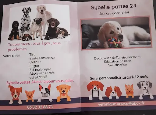 Sybelle Pattes 24: Educateur Canin Comportementaliste