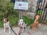 Dogsitter de Confiance: Éducateur Canin Comportementaliste