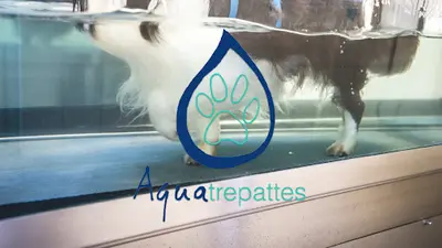 Toilettage, Hydrothérapie et Rééducation. Centre Aquatrepattes À Courbevoie