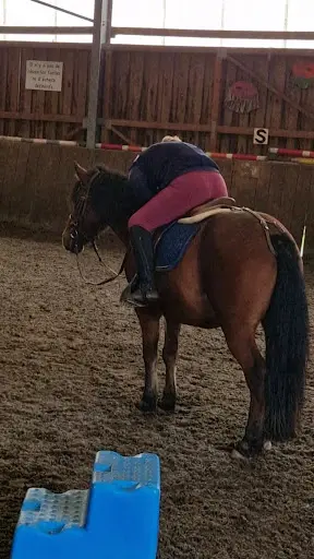 Poney Club le Picotin