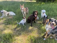 Brav Os - Educateur & Comportementaliste Canin