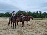 Espace Cheval