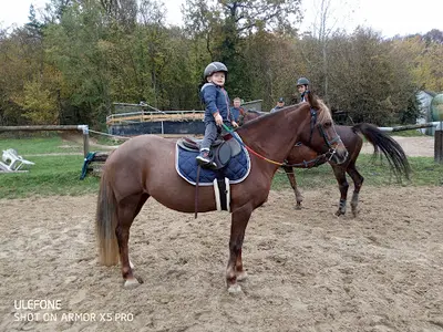 Les Écuries d'Emeraude