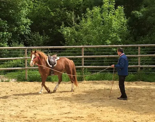 Equinature