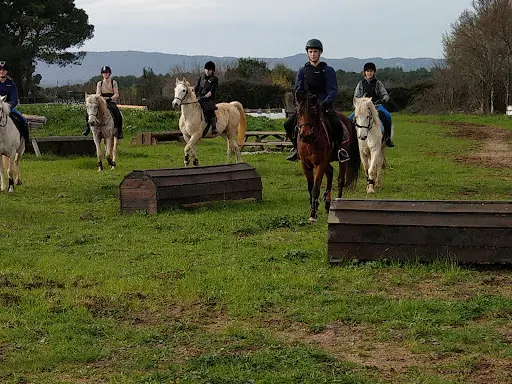 Écuries des Moulières - Pension Pour Chevaux - Cournonterral - Montpellier - Gigean - St Jean de Vedas