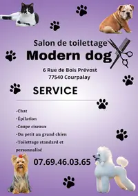Modern Dog