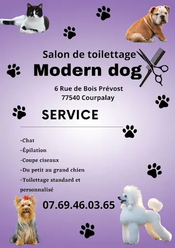 Modern Dog