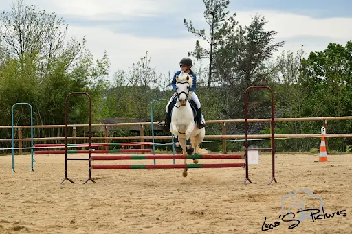 Pony Run Run