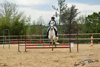 Pony Run Run