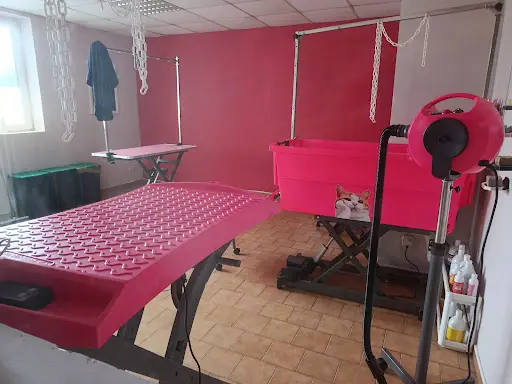 Au P Tit Toiletteur