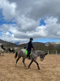 Ranch El Bronco