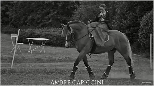 Elsass Side Saddle - Ambre Capiccini -