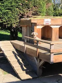 Dog S Club Vacances