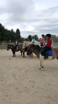 Centre Equestre Cheval et Provence