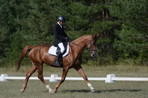 Centre Equestre du Louvant