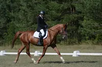 Centre Equestre du Louvant