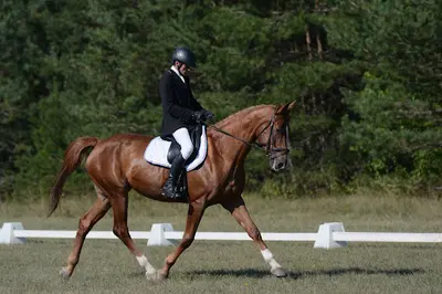 Centre Equestre du Louvant
