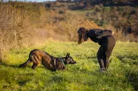 Doggy Pawsitive - Educatrice Canin en Méthode Positive - Gannat, Coutansouze, Vichy