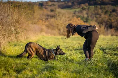 Doggy Pawsitive - Educatrice Canin en Méthode Positive - Gannat, Coutansouze, Vichy