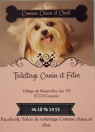 Comme Chien et Chat