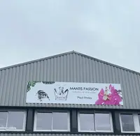 Mantis Passion - Élevage d'Arthropodes Exotiques