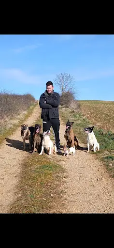 Pierrick Quignard Educateur Canin