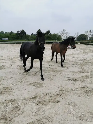 Les Écuries du Parc de Crécy