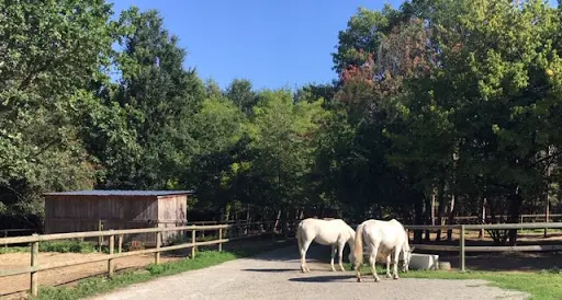Haras de Boulémont