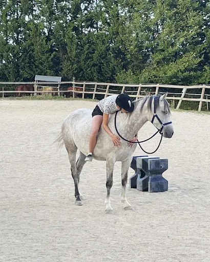 Equitalliance - Centre de Formation