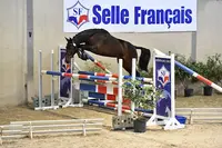 Élevage d'Ol