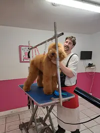 1000 et Une Pattes