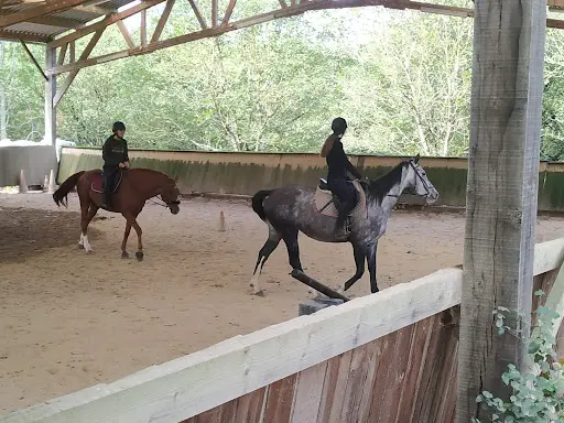 Cheval Rando