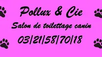 Pollux & Compagnie