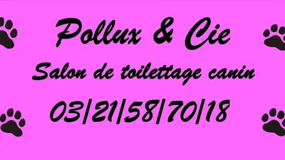 Pollux & Compagnie