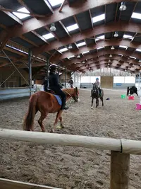 Epona Croissy Beaubourg Equitation
