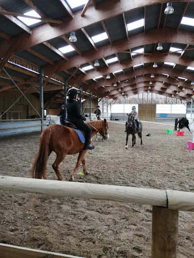 Epona Croissy Beaubourg Equitation