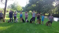 Amis Dogs 76
