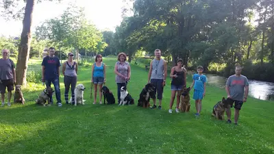 Amis Dogs 76